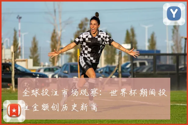 全球投注市场观察：世界杯期间投注金额创历史新高