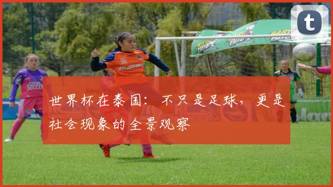 世界杯在泰国：不只是足球，更是社会现象的全景观察
